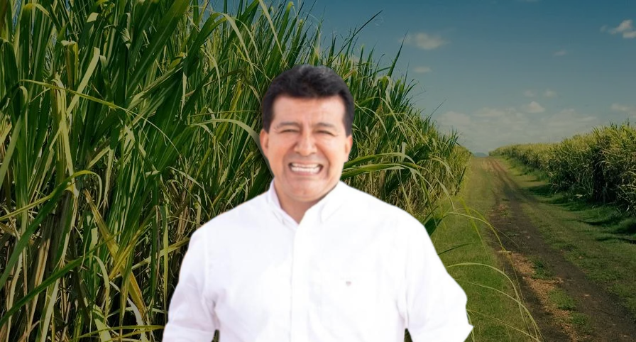 Ernesto Flores Vílchez agroindustria
